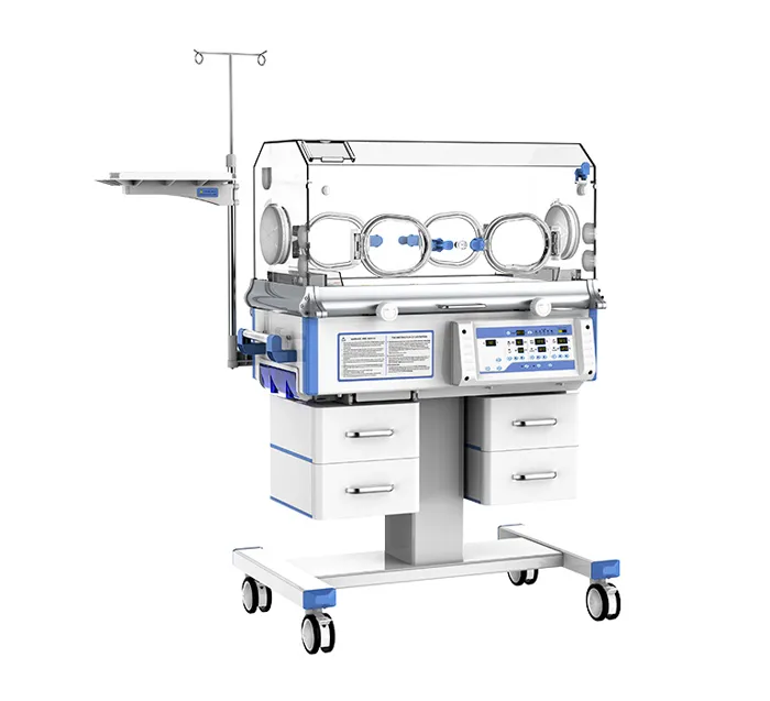 Incubadora Neonatal: BB-300 Standard